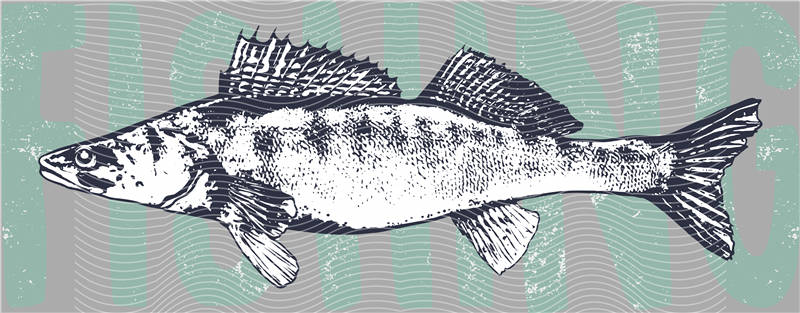 Fishing Series-DY 175